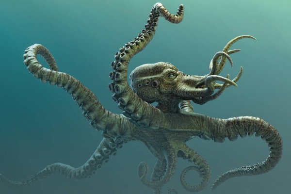 Kraken tor song