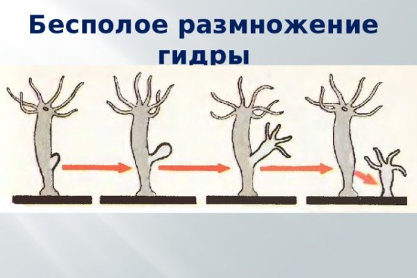 Кракен маркетплейс телеграм