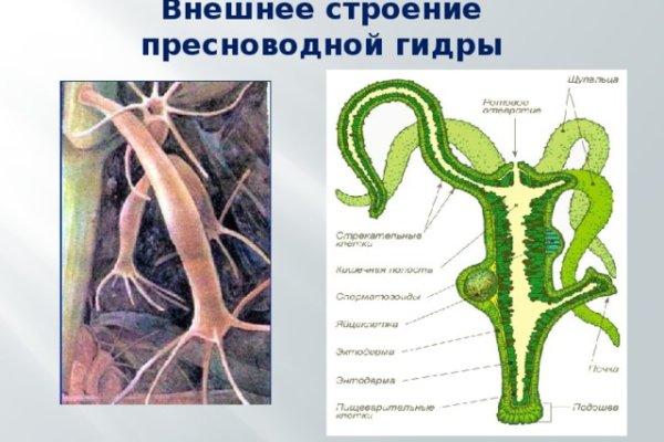 Кракен как попасть
