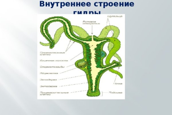 Кракен марихуана