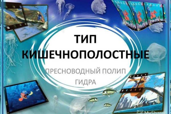 Покупки на кракене даркнет