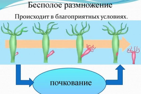 Кракен официальный сайт онион