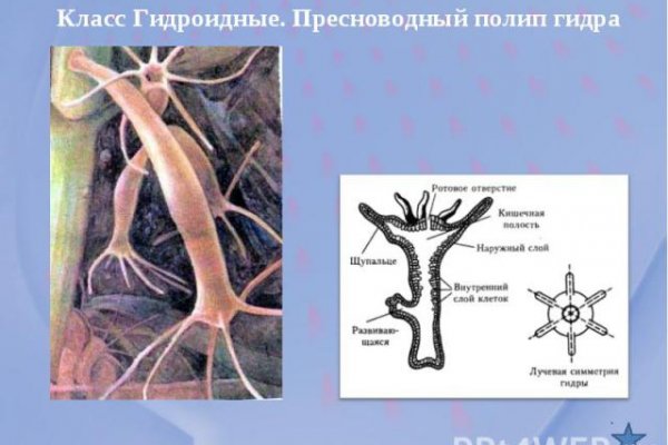 Кракен ссылка на сайт com