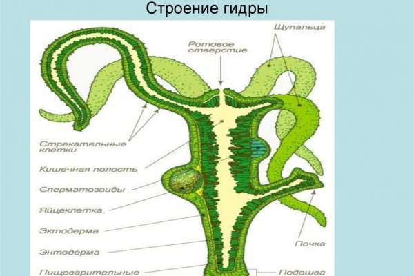 Кракен тор krakendark krakendark link