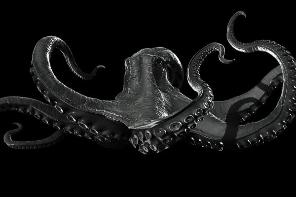Kraken 12 att