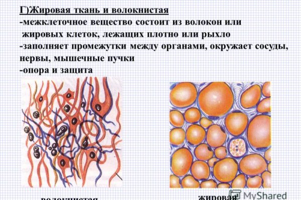 Короткая ссылка на кракен