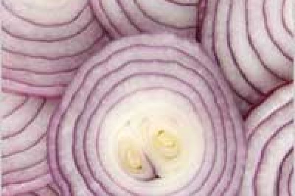 Официальный сайт даркнета