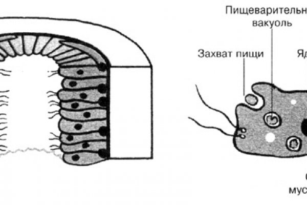 Что продают на сайте кракен