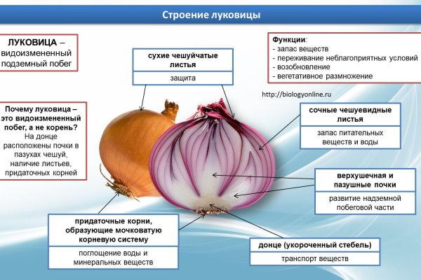 Кракен даркнет официальный сайт